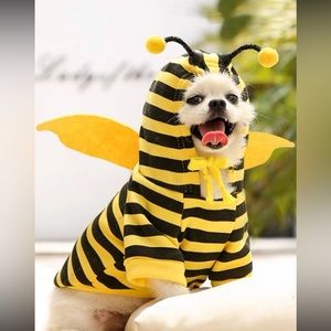 ✅ cute pet costumes✅